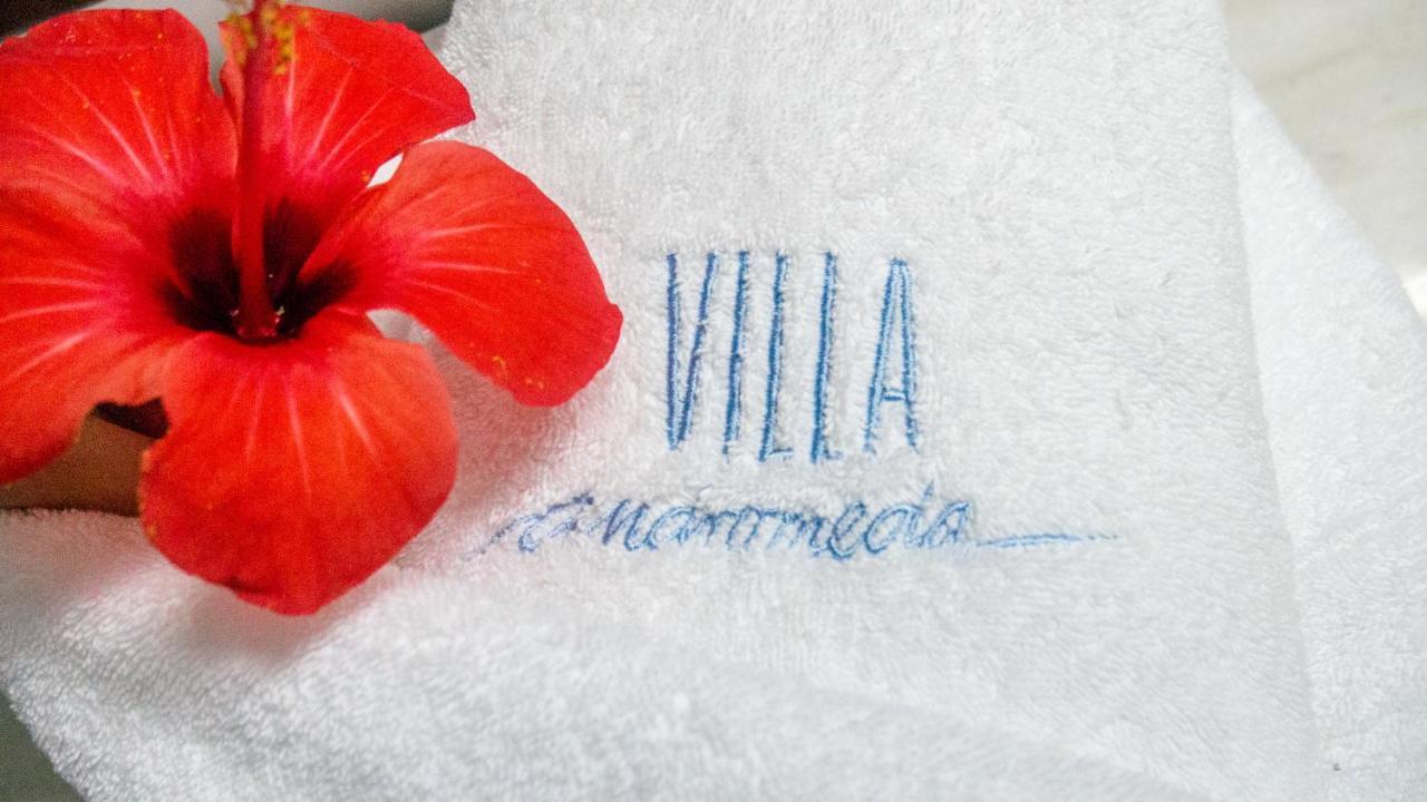 Villa Andromeda Chania  Eksteriør billede